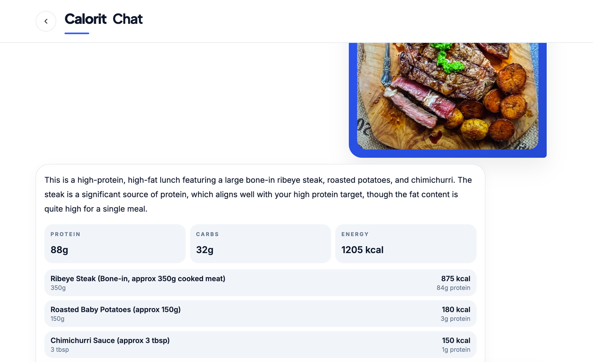 Calorit chat extracting macros from a meal photo