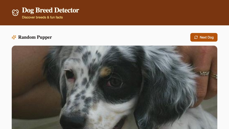 Dog Breed Detector app preview